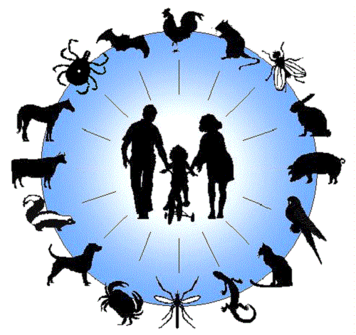 بیماری زئونوز