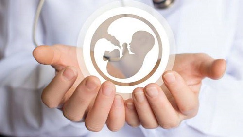 تبریک روز جنین شناسی