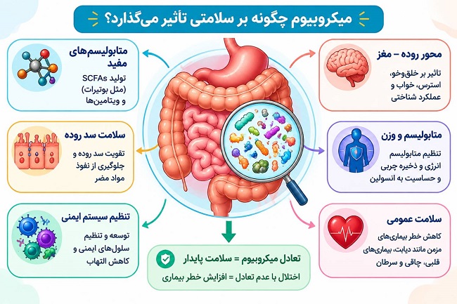 میکروبیوم روده؛ 