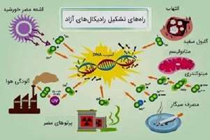 آنتی‌اکسیدان‌ها و باروری: از محافظت تا سمّیت