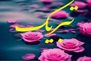 درخشش دانشجوی دانشکده علوم و فناوری‌های نوین پزشکی در سی‌وسومین جشنواره دانشجوی نمونه دانشگاه