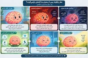 مغز چگونه پس از بحران به آرامش بازمی‌گردد