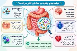 میکروبیوم روده؛ حلقه‌ای مهم در ارتباط میان سلامت روده، مغز و متابولیسم
