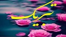 درخشش دانشجوی دانشکده علوم و فناوری‌های نوین پزشکی در سی‌وسومین جشنواره دانشجوی نمونه دانشگاه
