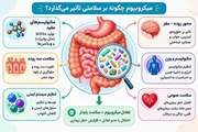 میکروبیوم روده؛ حلقه‌ای مهم در ارتباط میان سلامت روده، مغز و متابولیسم